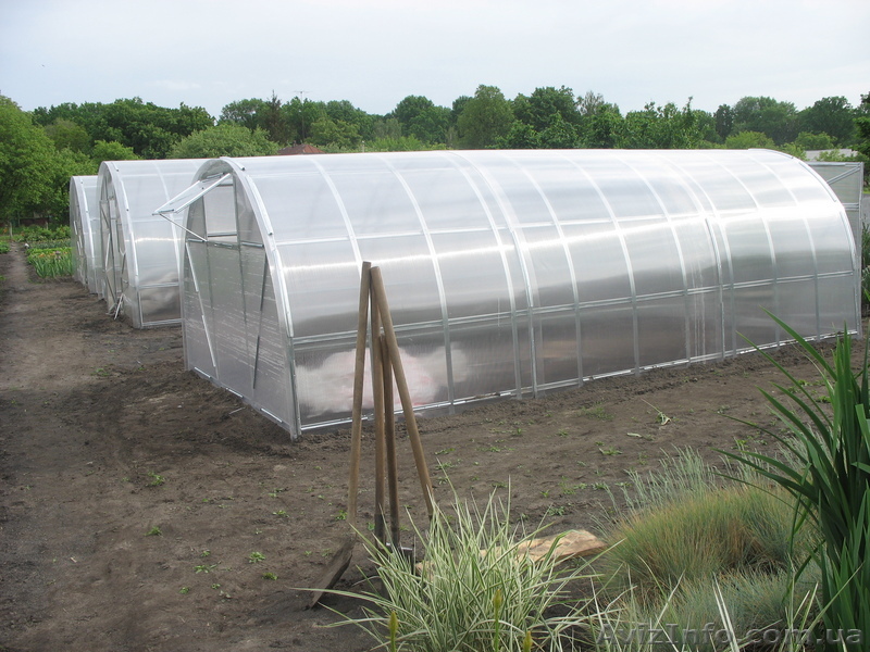 Теплица под поликарбонат - <ro>Изображение</ro><ru>Изображение</ru> #1, <ru>Объявление</ru> #16192