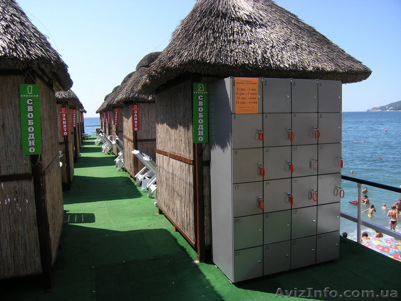 Бизнес на летний сезон! - <ro>Изображение</ro><ru>Изображение</ru> #1, <ru>Объявление</ru> #15971