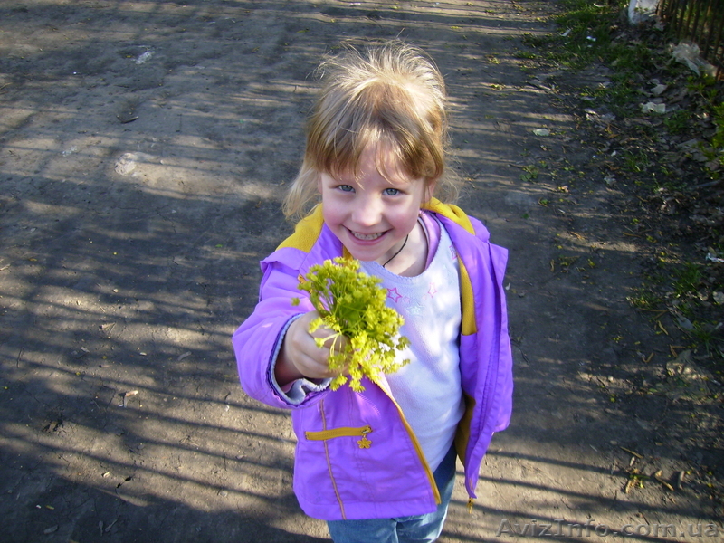 Детский психолог, дефектолог - <ro>Изображение</ro><ru>Изображение</ru> #1, <ru>Объявление</ru> #43372