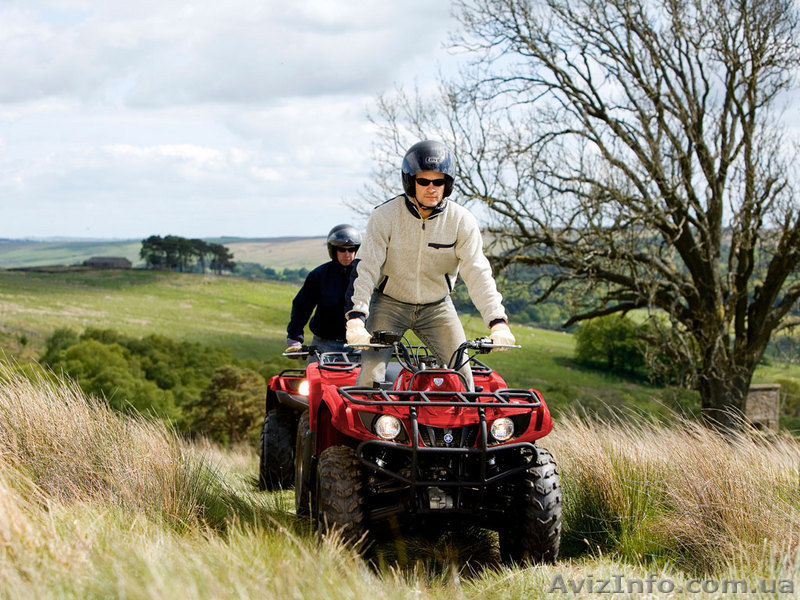 Квадроцикл Yamaha(Ямаха) Grizzly -350 4WD - <ro>Изображение</ro><ru>Изображение</ru> #1, <ru>Объявление</ru> #52201