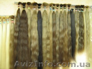 Куплю натуральные волосы - <ro>Изображение</ro><ru>Изображение</ru> #1, <ru>Объявление</ru> #91860