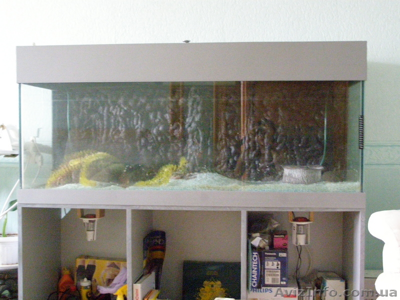 Срочно продам аквариум - <ro>Изображение</ro><ru>Изображение</ru> #1, <ru>Объявление</ru> #89625