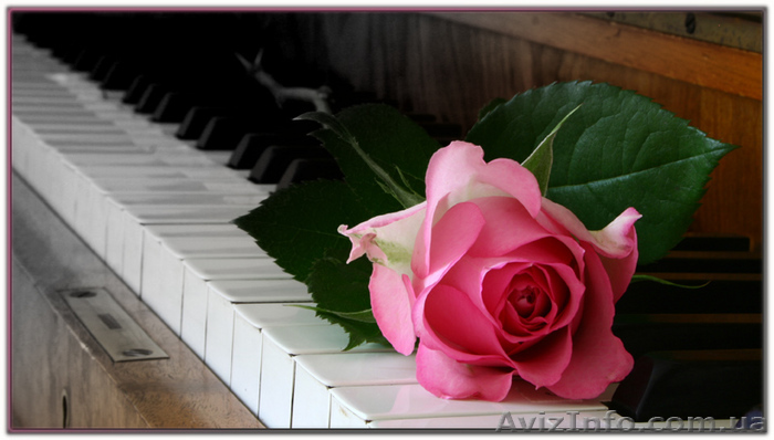 Реставрация, ремонт, настройка фортепиано, пианино, рояля Харьков - <ro>Изображение</ro><ru>Изображение</ru> #1, <ru>Объявление</ru> #121669