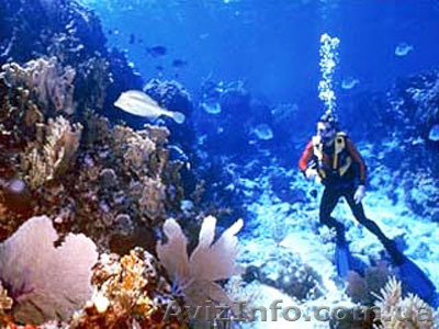 Компания «УкрТурКом» - <ro>Изображение</ro><ru>Изображение</ru> #1, <ru>Объявление</ru> #122768