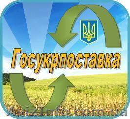 Продам подшипники, РТИ,запчасти - <ro>Изображение</ro><ru>Изображение</ru> #1, <ru>Объявление</ru> #153386