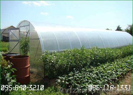 Харьков  поликарбонат теплицы   Novattro и   Actual - <ro>Изображение</ro><ru>Изображение</ru> #1, <ru>Объявление</ru> #150950