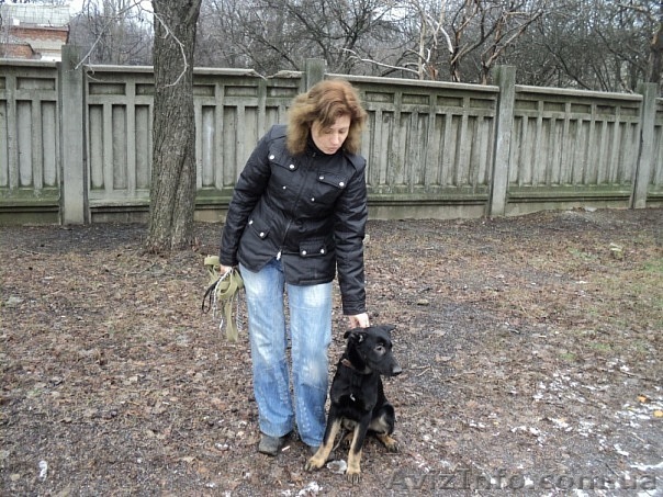 Отдам в хорошии руки ! - <ro>Изображение</ro><ru>Изображение</ru> #1, <ru>Объявление</ru> #154689