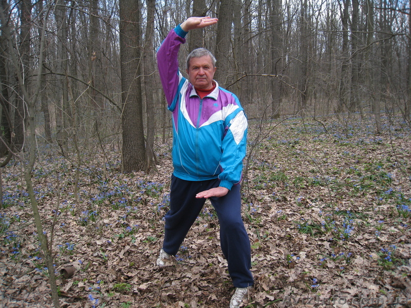 Цигун - <ro>Изображение</ro><ru>Изображение</ru> #1, <ru>Объявление</ru> #230793