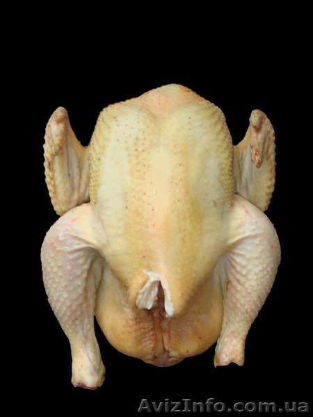 Домашние бройлера - <ro>Изображение</ro><ru>Изображение</ru> #1, <ru>Объявление</ru> #266730