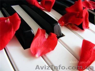 Музыкальная студия "Music style" - <ro>Изображение</ro><ru>Изображение</ru> #1, <ru>Объявление</ru> #278650