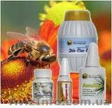 Медовый бизнес Тенториум - <ro>Изображение</ro><ru>Изображение</ru> #1, <ru>Объявление</ru> #316351