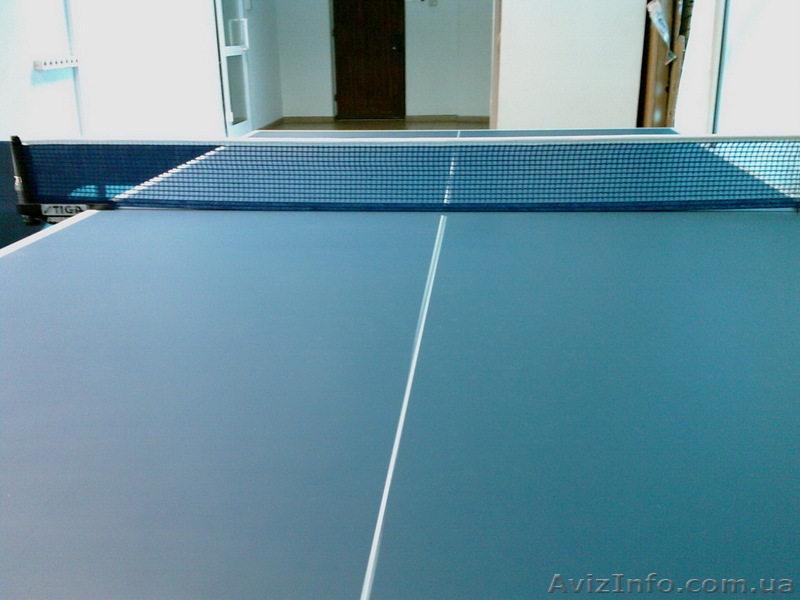 Зал настольного тенниса - <ro>Изображение</ro><ru>Изображение</ru> #1, <ru>Объявление</ru> #342079
