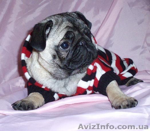 ПНОиМ "Mansalen" - <ro>Изображение</ro><ru>Изображение</ru> #1, <ru>Объявление</ru> #361689