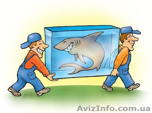 Услуги грузчиков. Город Харьков - <ro>Изображение</ro><ru>Изображение</ru> #1, <ru>Объявление</ru> #341196