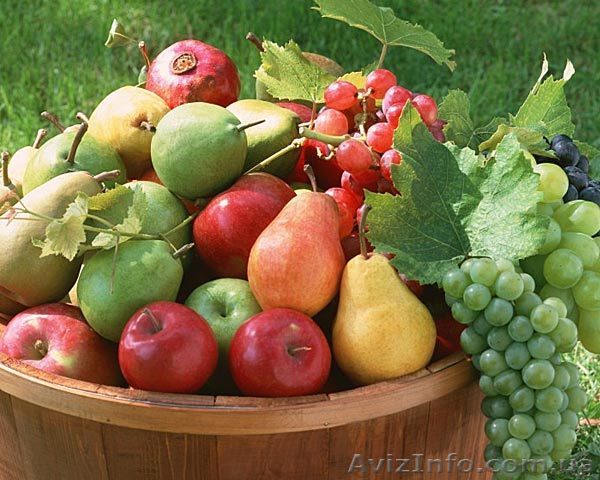 Саженцы слобжанщины - <ro>Изображение</ro><ru>Изображение</ru> #1, <ru>Объявление</ru> #413755