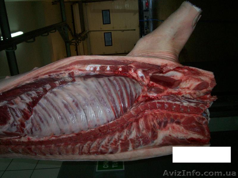 Мясопродукты Европейского производства от Польской фирмы. - <ro>Изображение</ro><ru>Изображение</ru> #1, <ru>Объявление</ru> #318566