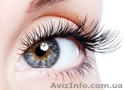 Наращивание ресниц премиум класса - <ro>Изображение</ro><ru>Изображение</ru> #1, <ru>Объявление</ru> #449099
