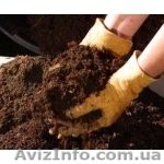 Перегной, навоз коровий с доставкой - <ro>Изображение</ro><ru>Изображение</ru> #1, <ru>Объявление</ru> #430898