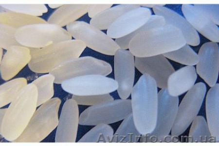 Продам крымский рис сорт Хазар, Украина - <ro>Изображение</ro><ru>Изображение</ru> #1, <ru>Объявление</ru> #426811