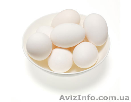 Продажа куриного яйца со склада в Харькове - <ro>Изображение</ro><ru>Изображение</ru> #1, <ru>Объявление</ru> #477983