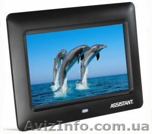 Цифровая фото-рамка Assistant AF-803 MIRA - <ro>Изображение</ro><ru>Изображение</ru> #1, <ru>Объявление</ru> #503553