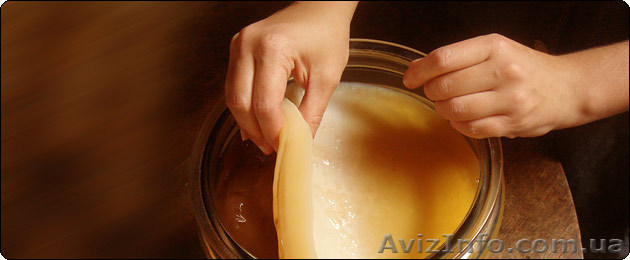 продам чайный гриб в Харькове - <ro>Изображение</ro><ru>Изображение</ru> #1, <ru>Объявление</ru> #498926