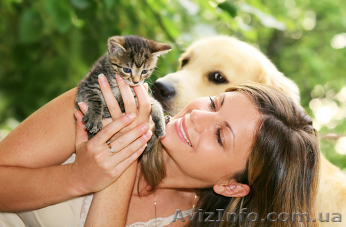 Товары для животных - <ro>Изображение</ro><ru>Изображение</ru> #1, <ru>Объявление</ru> #506281