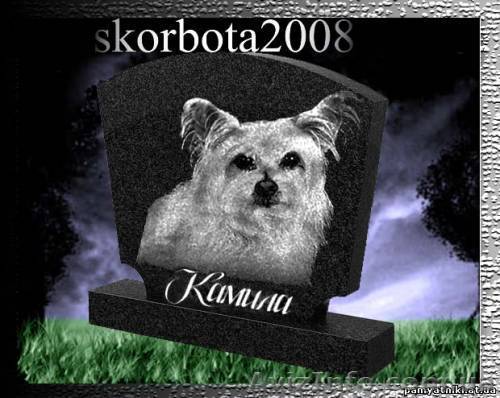 Эвтаназия(усыпление) животных на дому О9З-4О8-О9-З6 - <ro>Изображение</ro><ru>Изображение</ru> #1, <ru>Объявление</ru> #556661