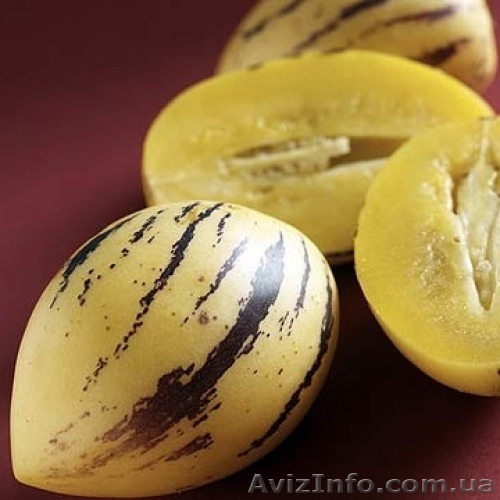 Семена пепино почтой - <ro>Изображение</ro><ru>Изображение</ru> #1, <ru>Объявление</ru> #540215