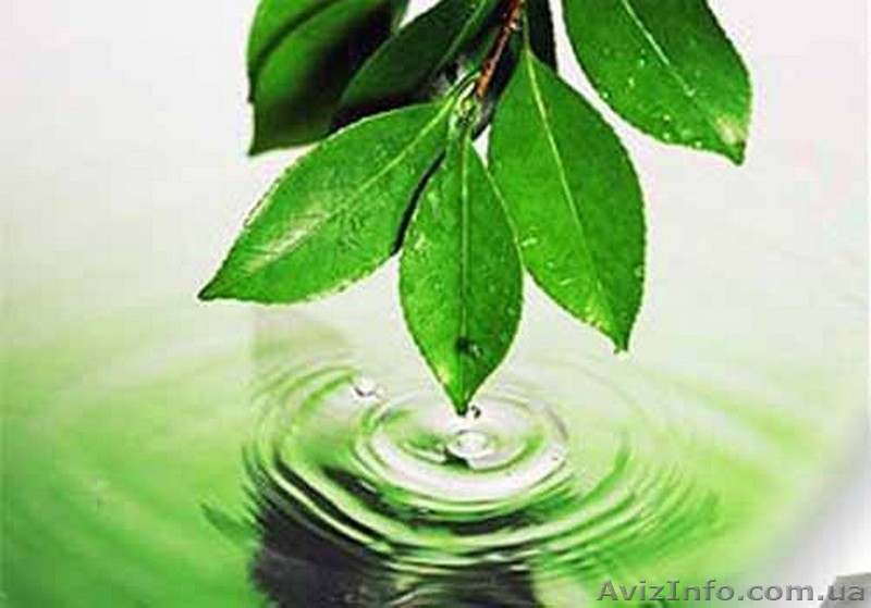 Разработка экологической документации - <ro>Изображение</ro><ru>Изображение</ru> #1, <ru>Объявление</ru> #530836