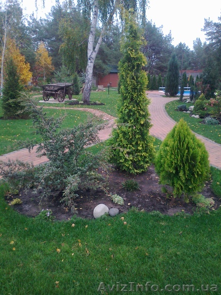  ВЫПОЛНЯЕМ РАБОТЫ ПО ОЗЕЛЕНЕНИЮ - <ro>Изображение</ro><ru>Изображение</ru> #1, <ru>Объявление</ru> #614984