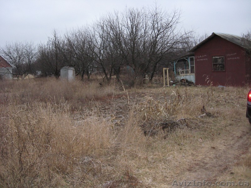 Продам дачу с. Тишки - <ro>Изображение</ro><ru>Изображение</ru> #1, <ru>Объявление</ru> #610631