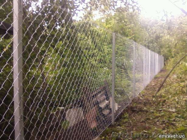 Сетка рабица не дорого                           - <ro>Изображение</ro><ru>Изображение</ru> #1, <ru>Объявление</ru> #612167