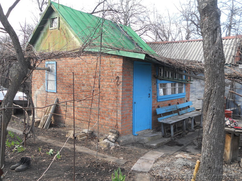 Роман 066 995 92 06,056 322 89 61 - <ro>Изображение</ro><ru>Изображение</ru> #1, <ru>Объявление</ru> #632380