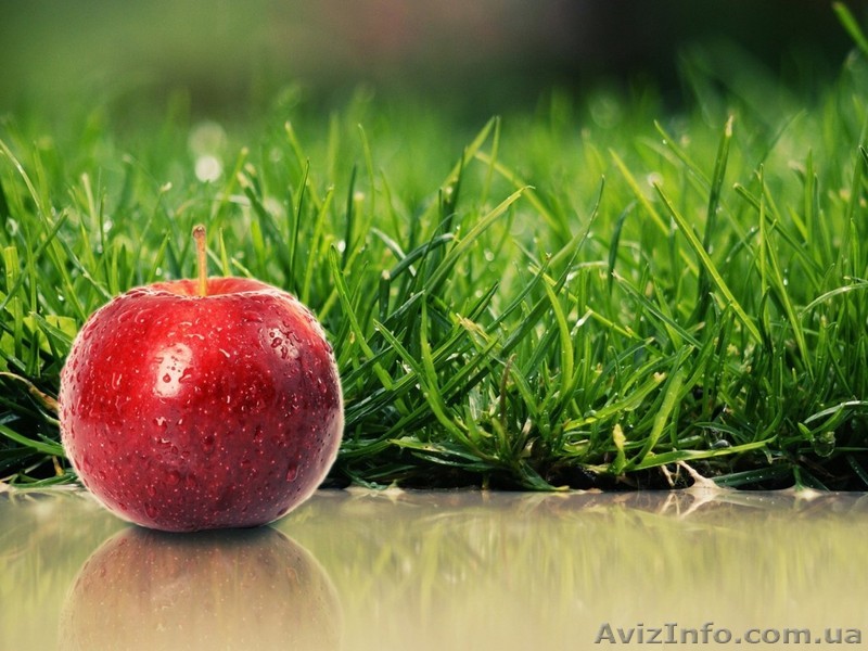 Живая вода и очищение организма - <ro>Изображение</ro><ru>Изображение</ru> #1, <ru>Объявление</ru> #644717