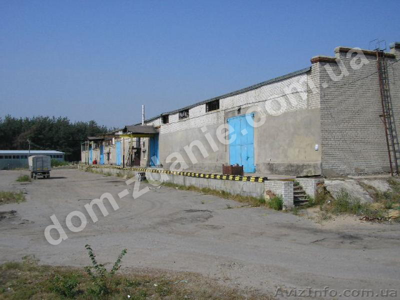 Нежилое помещение «Склад-магазин». - <ro>Изображение</ro><ru>Изображение</ru> #1, <ru>Объявление</ru> #745332