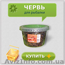 Червь для рыбалки. Разведение червей для рыбалки. Маточное поголовье червя. - <ro>Изображение</ro><ru>Изображение</ru> #1, <ru>Объявление</ru> #730113