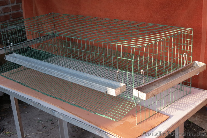 Клетки для содержания перепелов - <ro>Изображение</ro><ru>Изображение</ru> #1, <ru>Объявление</ru> #756906