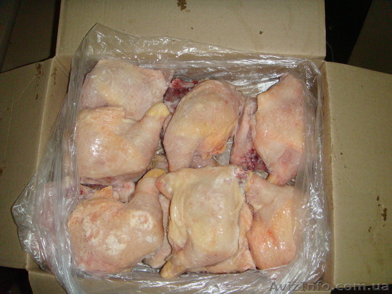 Куриная продукция, сухая заморозка - <ro>Изображение</ro><ru>Изображение</ru> #1, <ru>Объявление</ru> #781282