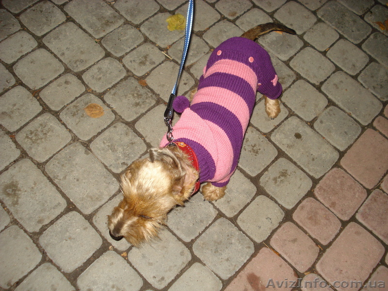 вязаная одежда, ручная работа - <ro>Изображение</ro><ru>Изображение</ru> #1, <ru>Объявление</ru> #779982