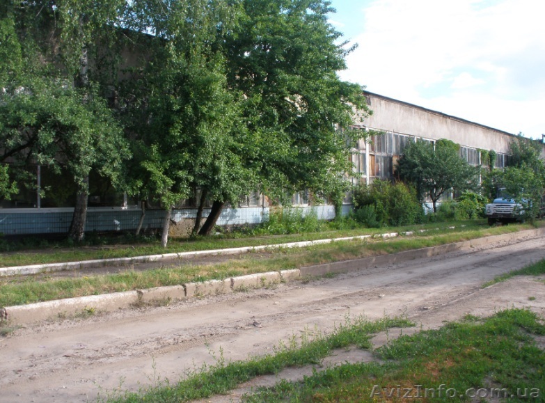 Сдам в аренду производственные помещения - <ro>Изображение</ro><ru>Изображение</ru> #1, <ru>Объявление</ru> #782914
