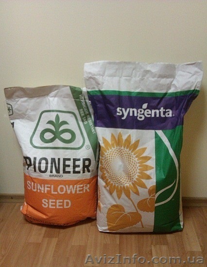 Семена гибридов подсолнечника НК Брио, НК Роки, НК Конди от компании Syngenta - <ro>Изображение</ro><ru>Изображение</ru> #1, <ru>Объявление</ru> #813296