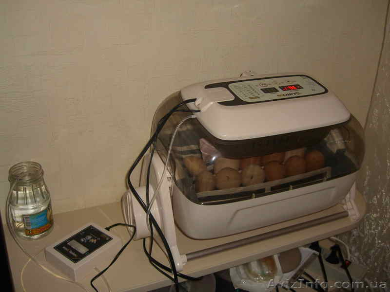 Продам корейский автоматический инкубатор R-Com 20  - <ro>Изображение</ro><ru>Изображение</ru> #1, <ru>Объявление</ru> #805486