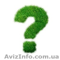 Маркетинговые кабинетные исследования - <ro>Изображение</ro><ru>Изображение</ru> #1, <ru>Объявление</ru> #803990