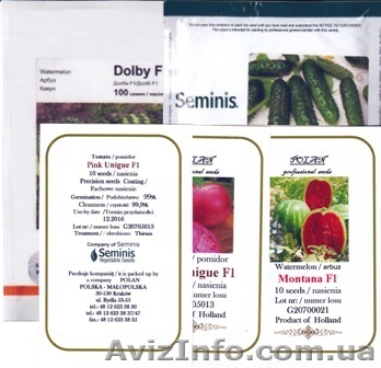 Розничная продажа семян овощных культур от производителей голландской - <ro>Изображение</ro><ru>Изображение</ru> #1, <ru>Объявление</ru> #816355