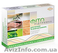 « Фитоподдержка печени и желчного пузыря»"Olivia" - <ro>Изображение</ro><ru>Изображение</ru> #1, <ru>Объявление</ru> #828539