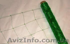 Сетка огуречная, шпалерная 1,7м*500м оптом в рулонах - <ro>Изображение</ro><ru>Изображение</ru> #1, <ru>Объявление</ru> #822453