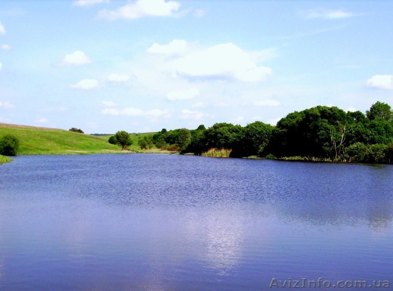 продам 1к кв пСтрелечье - <ro>Изображение</ro><ru>Изображение</ru> #1, <ru>Объявление</ru> #835786