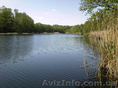 Продам дом с земельным участком рядом с  р.С.Донец - <ro>Изображение</ro><ru>Изображение</ru> #1, <ru>Объявление</ru> #107528