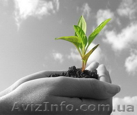 Средства Защиты Растений (СЗР) от мировых производителей - <ro>Изображение</ro><ru>Изображение</ru> #1, <ru>Объявление</ru> #863426